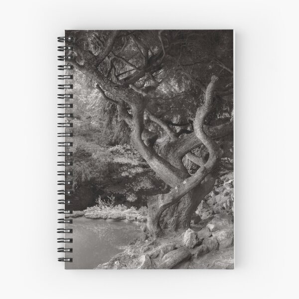 Item preview, Landscape - The Forbidden Forest designed and sold by Mike Savad Photography.