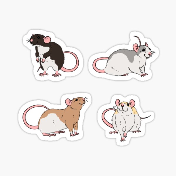 Rat Group Sticker