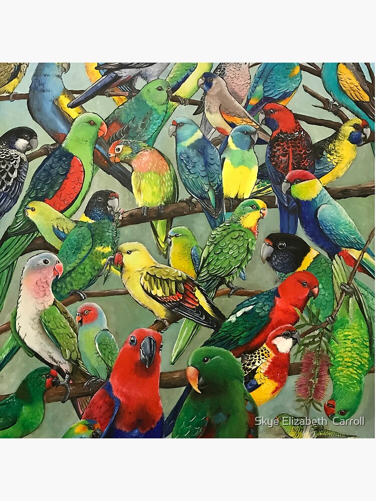 Australian Parakeets by SkyeElizabeth