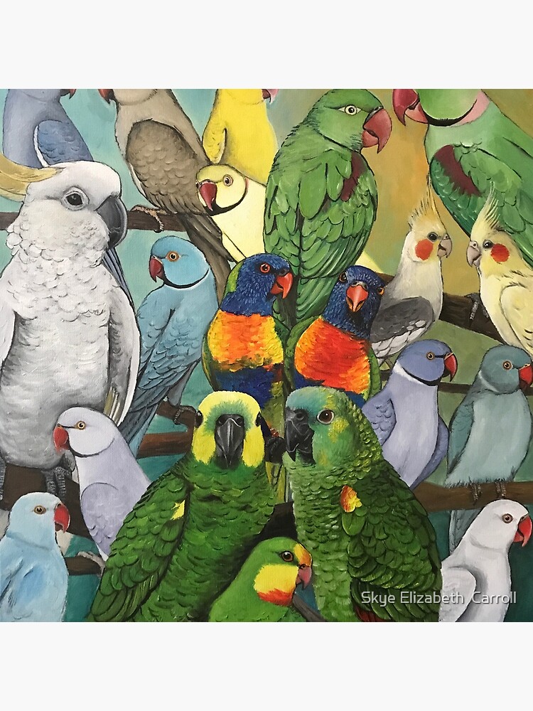 Julia's Birds by SkyeElizabeth