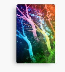 Eucalyptus Tree Metal Print