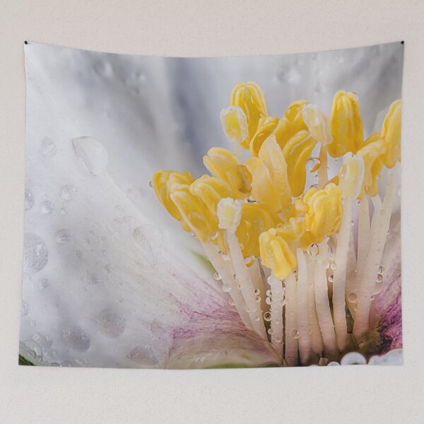 Item preview, Philadelphus flower macro with water drops designed and sold by simonbratt.