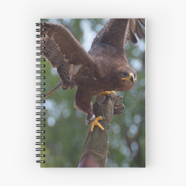 Item preview, Aquila nipalensis designed and sold by Mythos57.