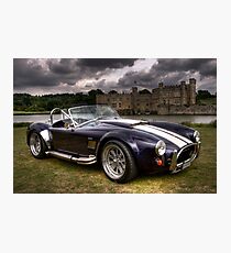 Cobra & Castle Photographic Print