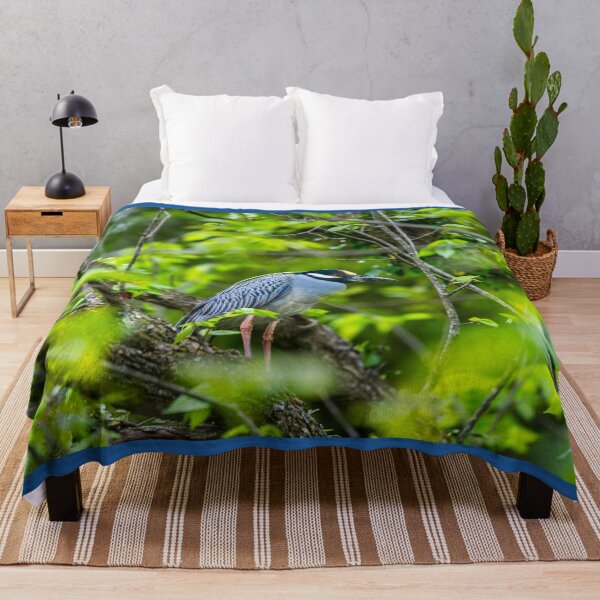 Item preview, Resting Yellow Crowned Night Heron designed and sold by mljdwhite.