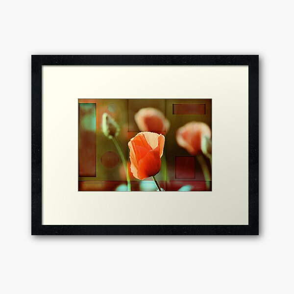 California Poppy Framed Art Print