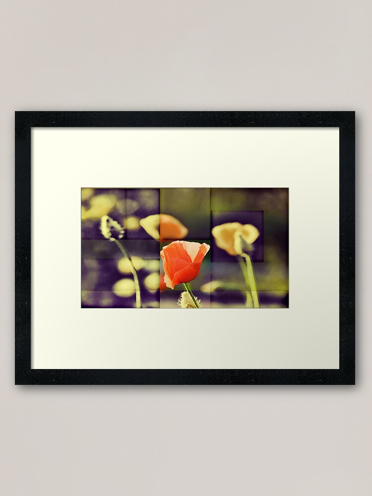 Alternate view of California Poppy(2) Framed Art Print