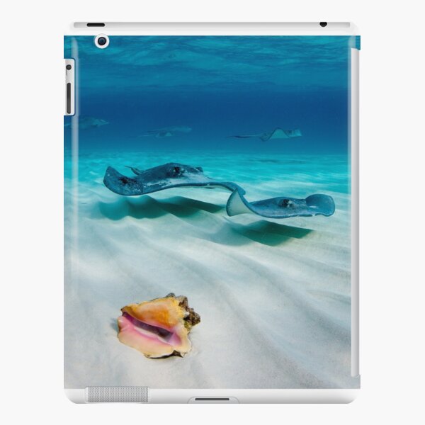 Cayman Stingrays iPad Snap Case