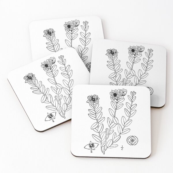 Item preview, Copy of Botanical Scientific Illustration Black and White Hypericum designed and sold by pahleeloola.