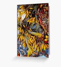 Beach Still Life Greeting Card