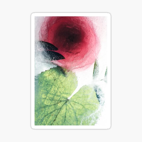 Frozen Flowers #12 Sticker