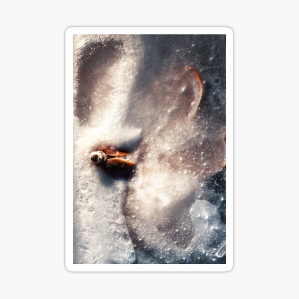 Frozen Flowers #14 Sticker
