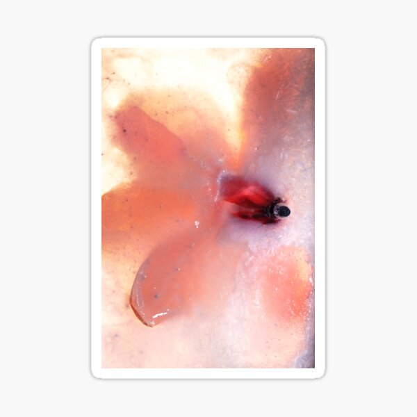 Frozen Flowers #17 Sticker