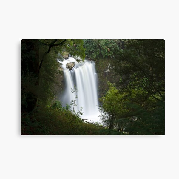 Hopetoun Falls from above Canvas Print