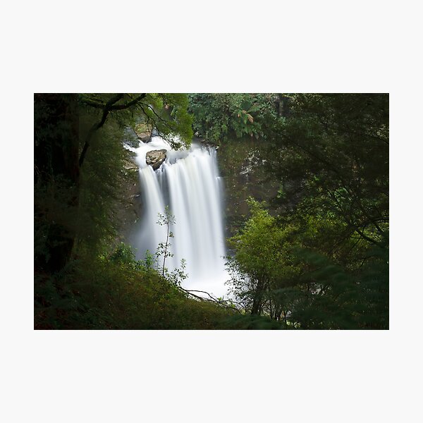 Hopetoun Falls from above Photographic Print