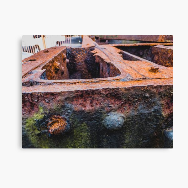 Rust Canvas Print