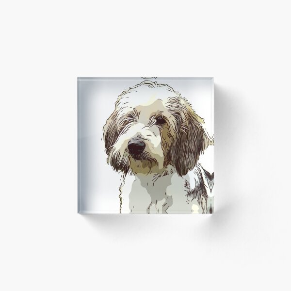 TuX by Boe Acrylic Block