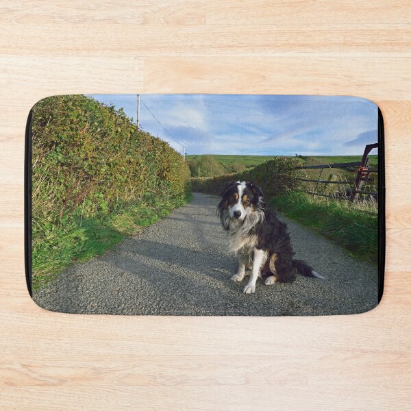 Item preview, Laddie Awaits. designed and sold by Michael Haslam.