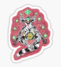 Netter magischer lustiger meditierender Maki im Raum Sticker