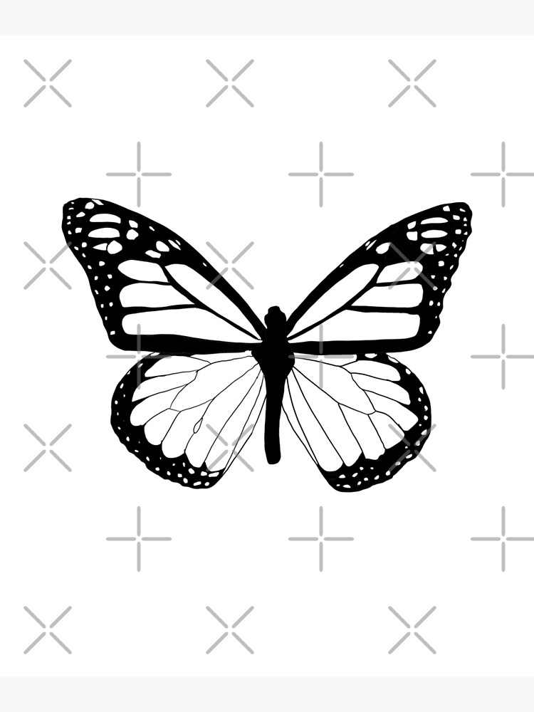 simple butterfly drawing outline - Clip Art Library