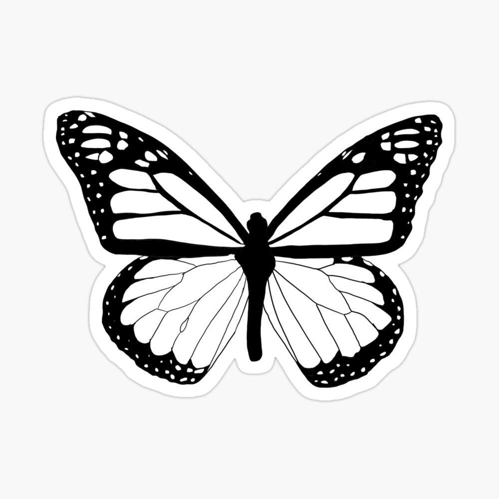 Butterfly Outline Design From Top View Vector SVG Icon - SVG Repo