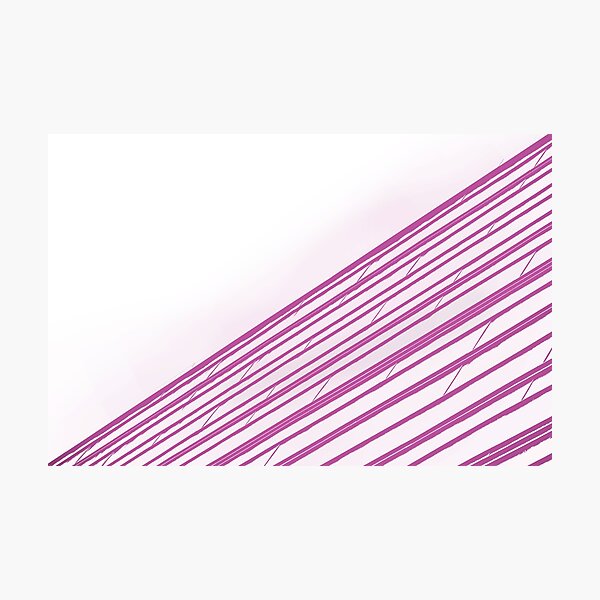 Pink Tiles Photographic Print