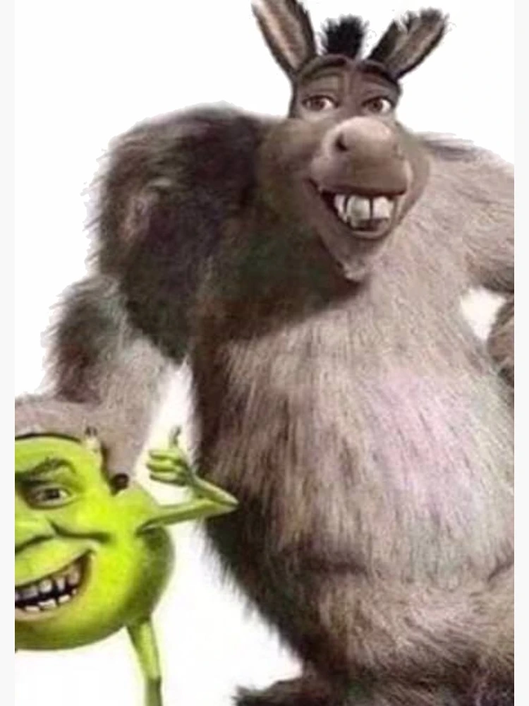 Shrek e burro x monstros inc. entrada tapete de banho tapete medo shitpost  meme deus shrek e burro shronkey shrek e - AliExpress