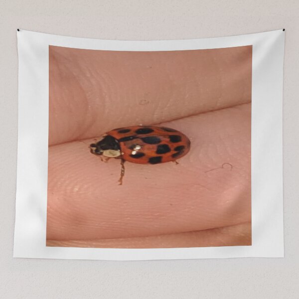 Item preview, Ladybug Love designed and sold by Missy69.