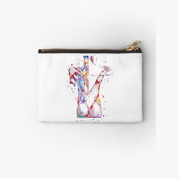 Item preview, Human muscles, superficial muscles back designed and sold by Rosaliartbook.
