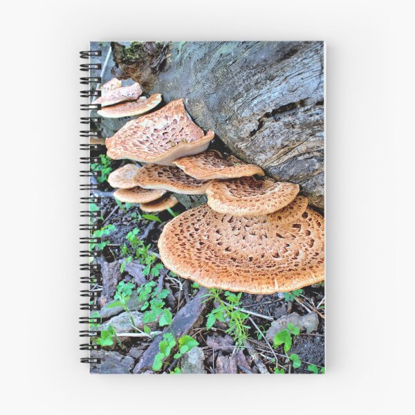 Item preview, Spring Woodland designed and sold by LynyrdSky.