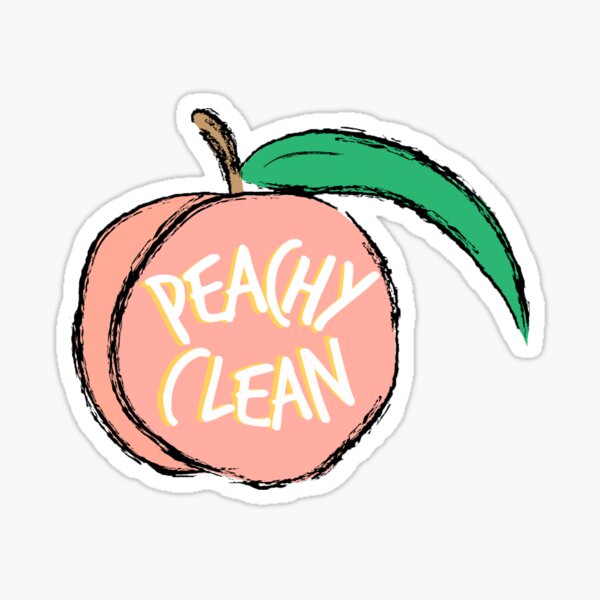 peachy clean bathroom decor