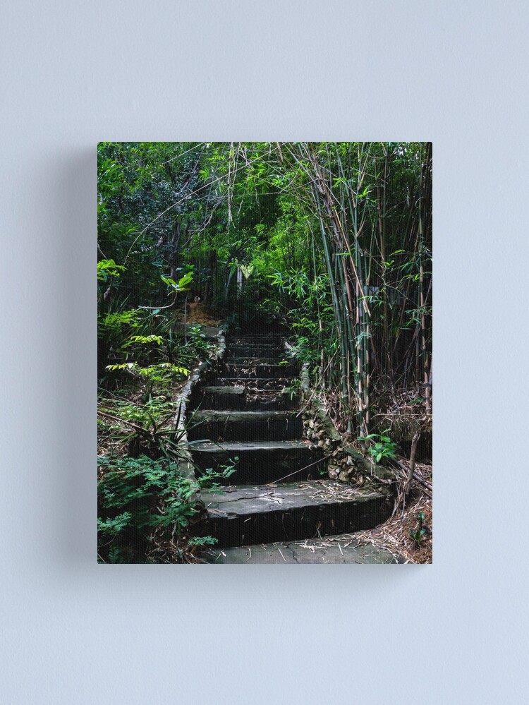 Thumbnail 1 of 3, Canvas Print, Koh Larn Steps designed and sold by darren-j-mcleod.