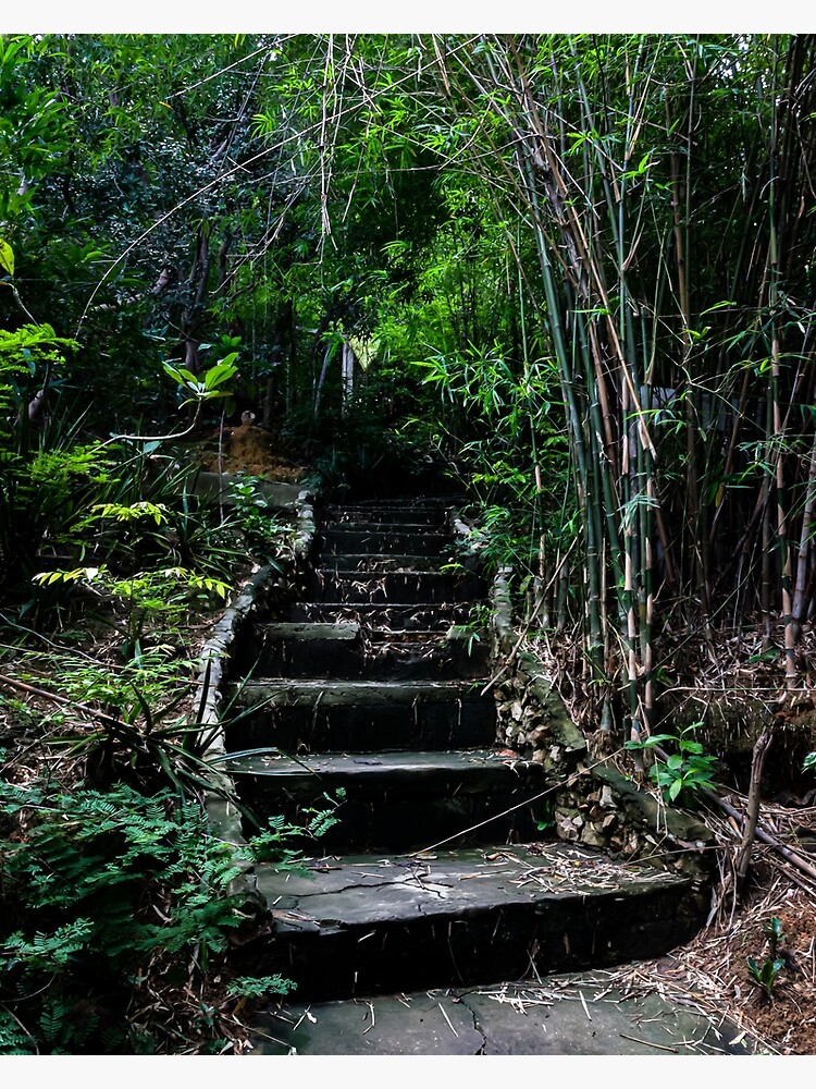 Thumbnail 3 of 3, Canvas Print, Koh Larn Steps designed and sold by darren-j-mcleod.