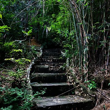 Artwork thumbnail, Koh Larn Steps by darren-j-mcleod
