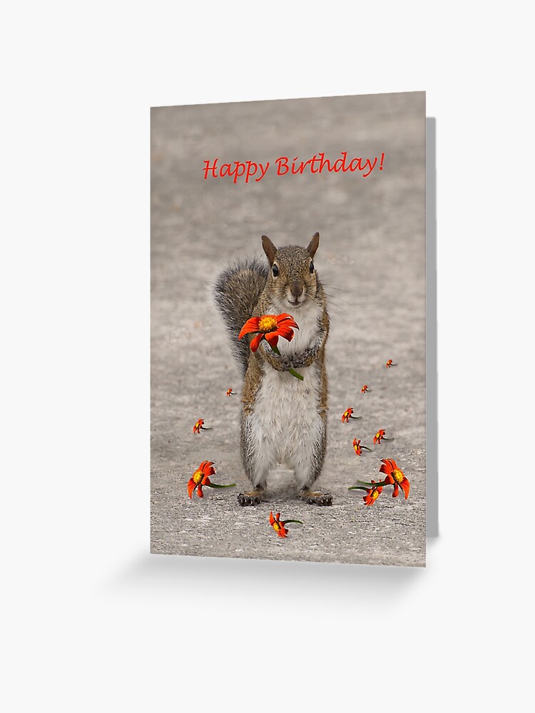 Carte De Vœux Joyeux Anniversaire De L Ecureuil Par Zinastromberg Redbubble