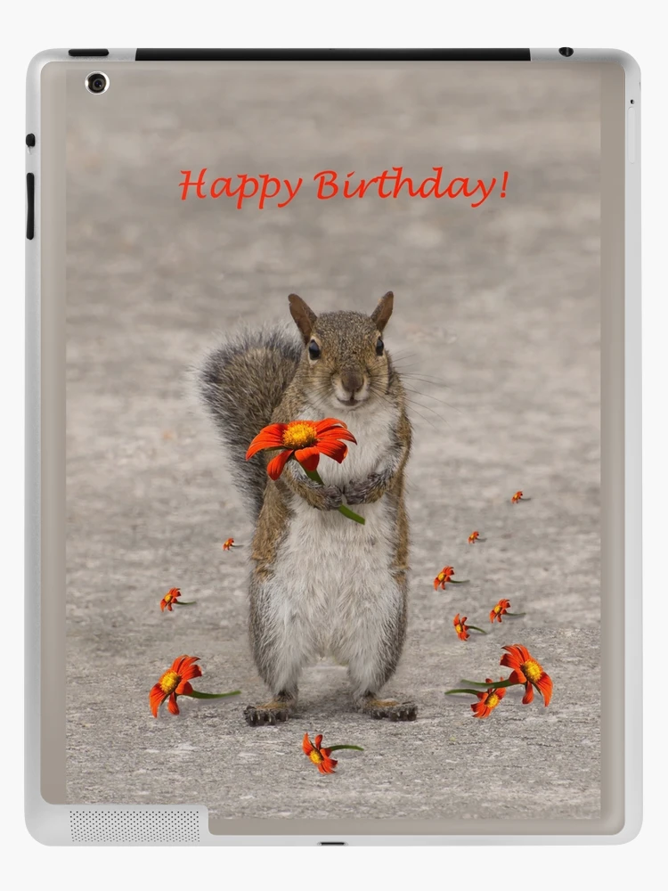 Cute squirrel - animals with clothes  iPad Case & Skin for Sale by Sunset  Design