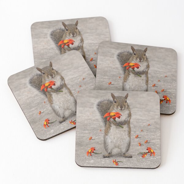 Item preview, Happy Birthday from Squirrel designed and sold by Zina Stromberg.