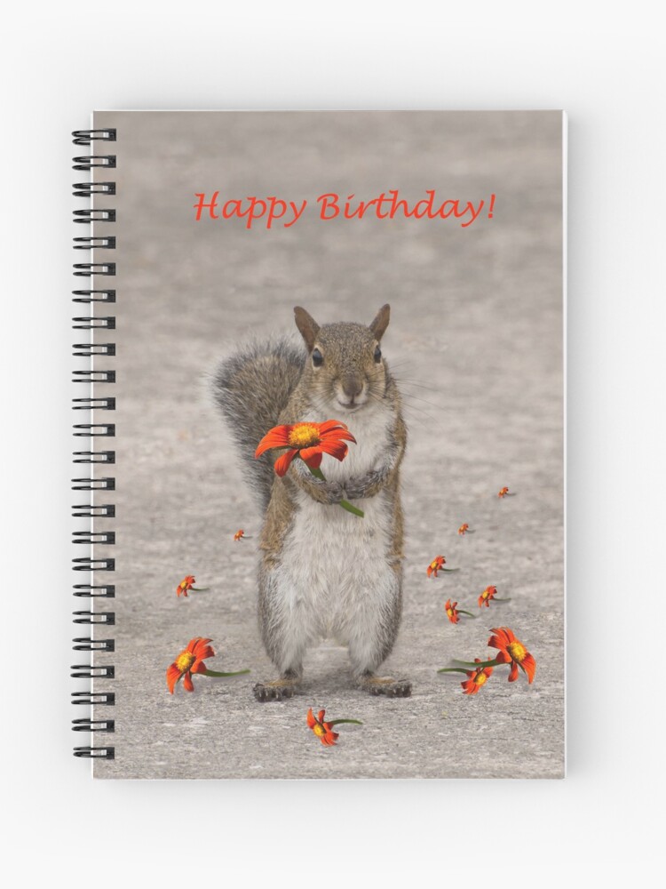 Cahier A Spirale Joyeux Anniversaire De La Part De L Ecureuil Par Zinastromberg Redbubble