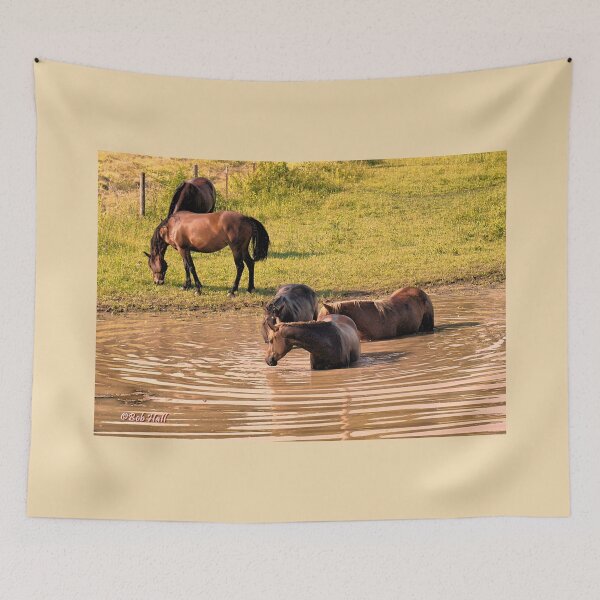 Item preview, "The Horses 5, Camera Shy," Photo for prints and products designed and sold by Bob Hall©.