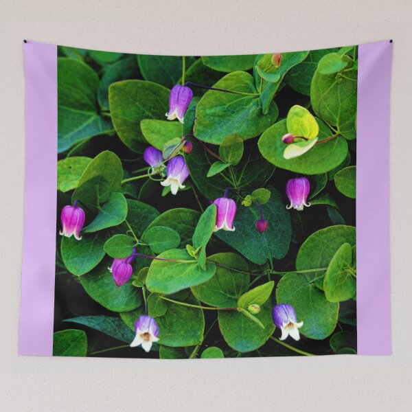 Item preview, Clematis - Addison's Leather Flower designed and sold by T.J. Martin.