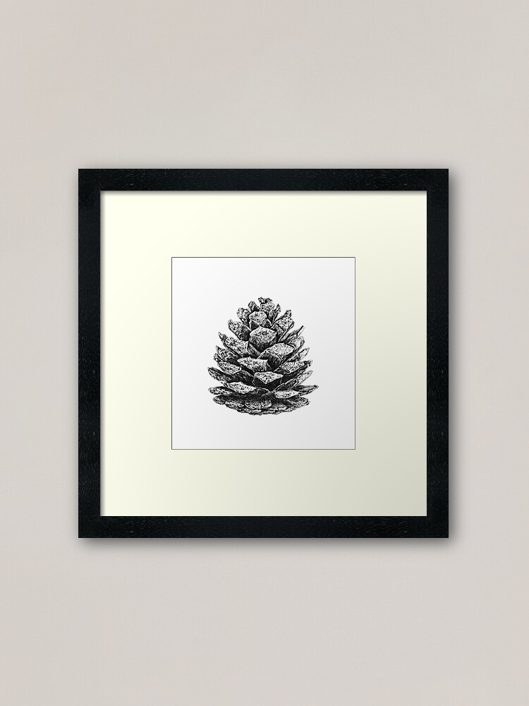 Alternate view of Pinus brutia var. pityusa Framed Art Print