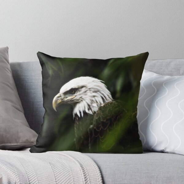 Item preview, Hidden Bald Eagle designed and sold by AdomexPhoto.