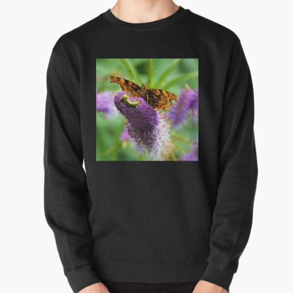 Comma Butterfly, Dorset UK Pullover Sweatshirt