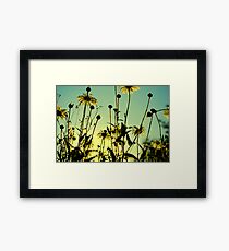 Soaking in the Sun Framed Print