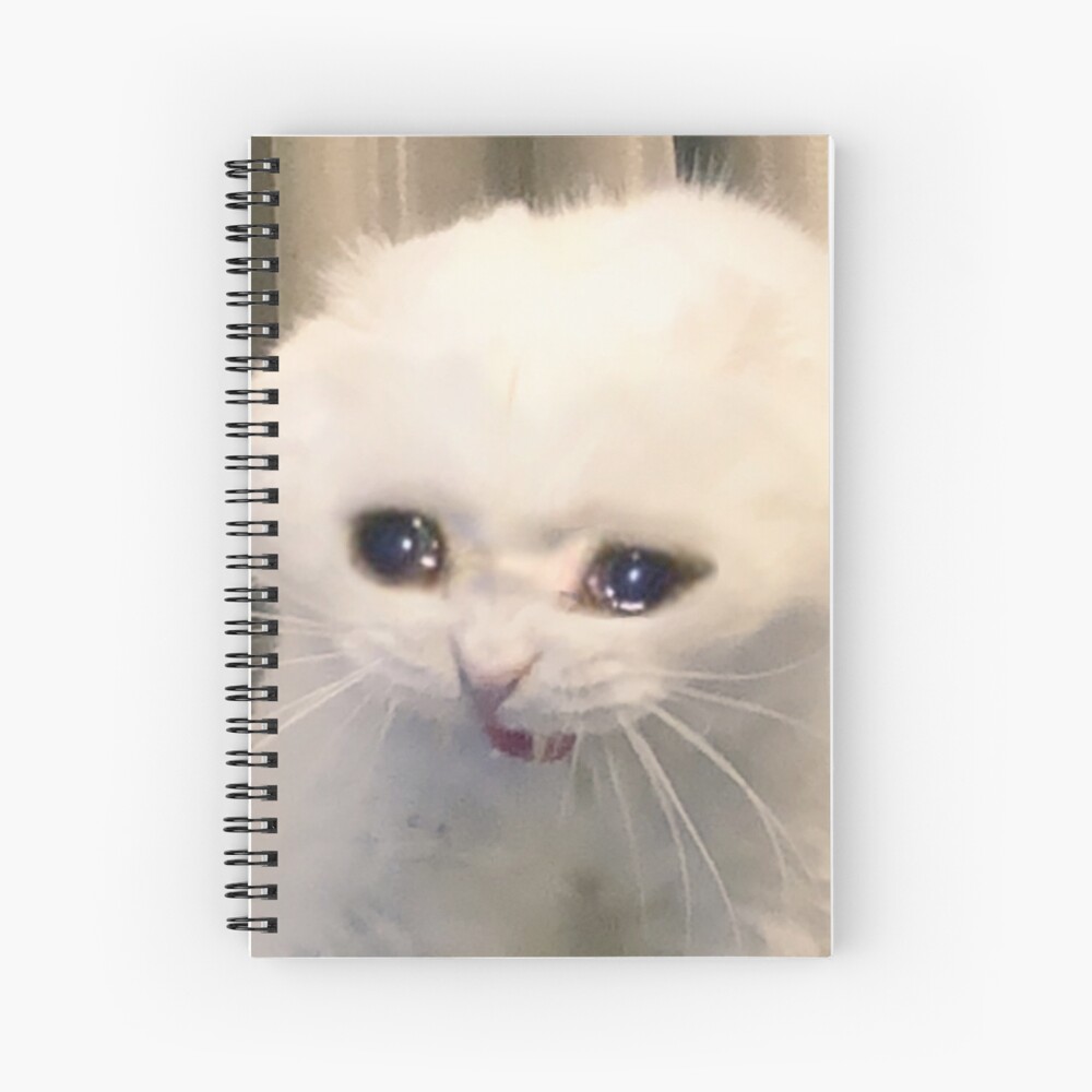 Sad Face Meme Spiral Notebooks for Sale