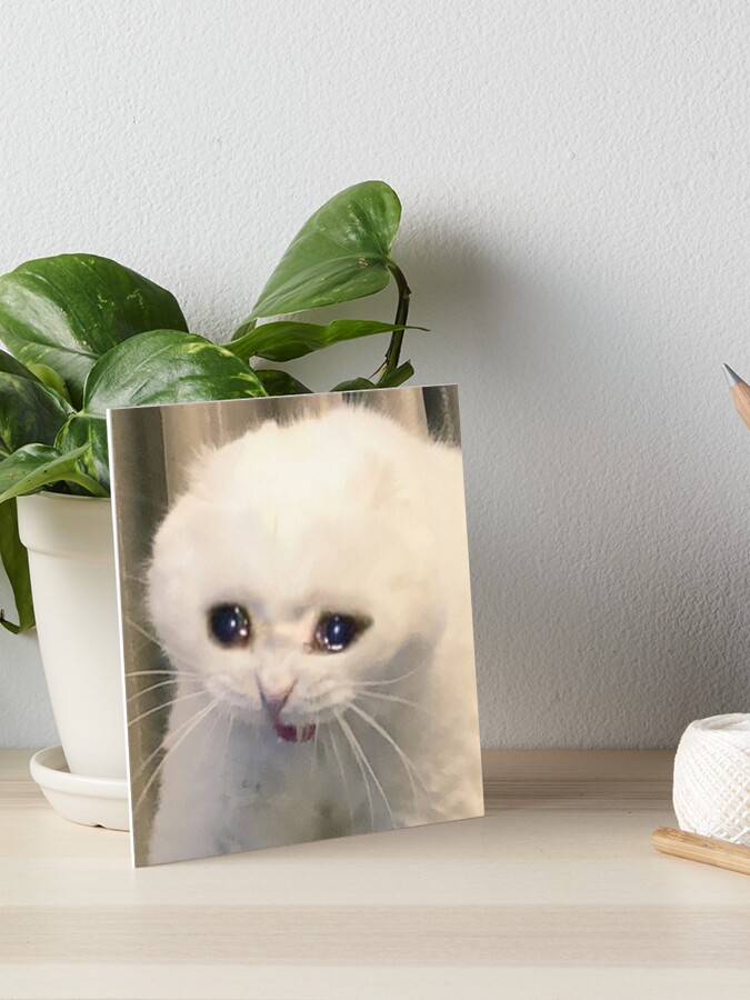 An image of the classic crying cat meme printed on anything you want to  purchase:). Thank you, money goes towards colleg…