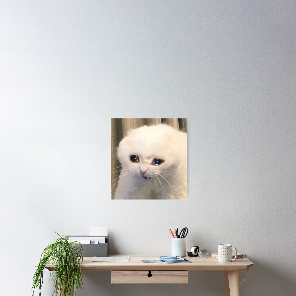 An image of the classic crying cat meme printed on anything you want to  purchase:). Thank you, money goes towards colleg…