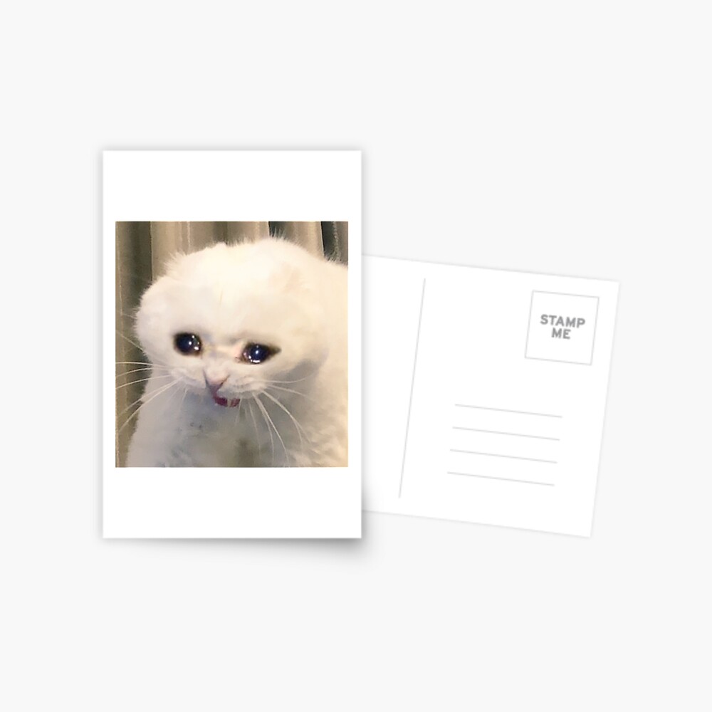 Carte De Vœux Meme De Chat Qui Pleure Par Cherrygloss Redbubble