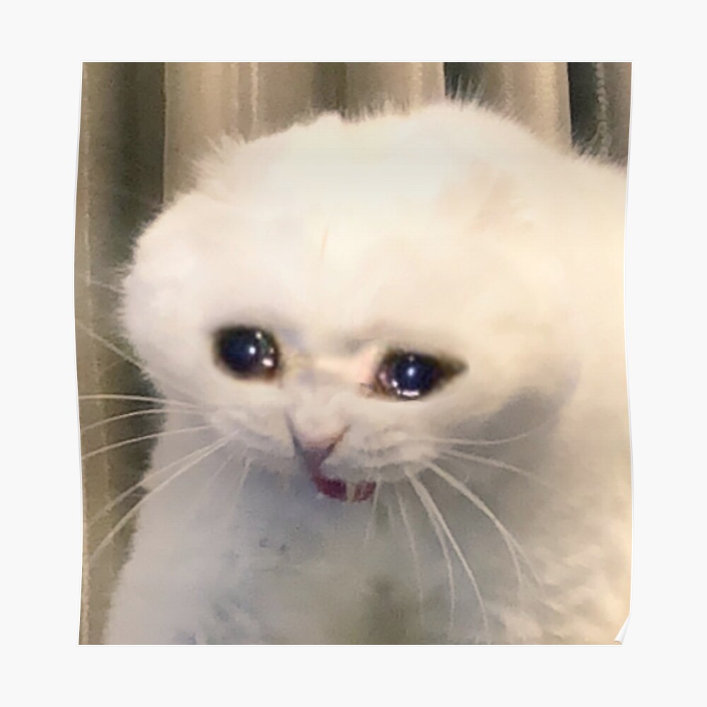 Crying Cat Meme Poster By Cherrygloss In 2021 Cat Memes Memes Music ...