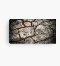Rain Dance Canvas Print